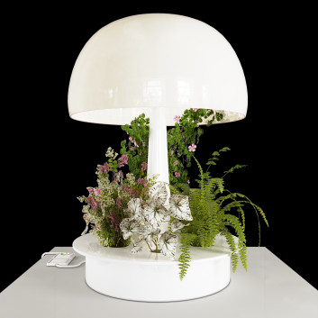 Настільнa лампа Una Lampada da Innaffiare