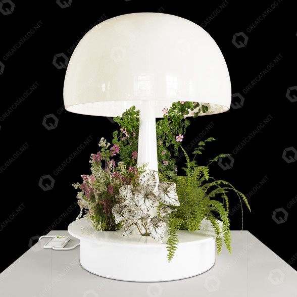 Настільнa лампа Una Lampada da Innaffiare 3D модель