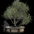 Декор Outdoor Plant Set 02 - mio