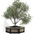Декор Outdoor Plant Set 02 - mio