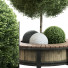Лава та рослини Outdoor Plant Set 03 - mio