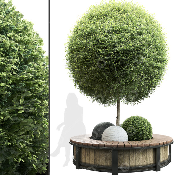 Лава та рослини Outdoor Plant Set 03 3D модель