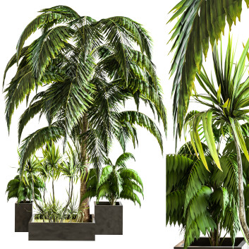 Outdoor Plant Vol 03