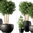 Flowerpots Indoor Plant Set 01 - 3dartist-rahimi