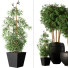 Flowerpots Indoor Plant Set 01 - 3dartist-rahimi
