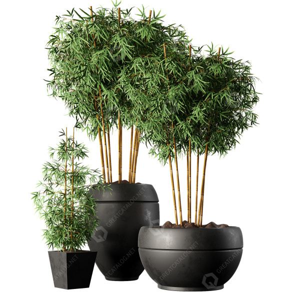 Flowerpots Indoor Plant Set 01 3D model