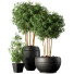 Flowerpots Indoor Plant Set 01 - 3dartist-rahimi