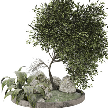 Plant Set 03