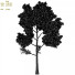 Árbol Pino - SpinelCGI
