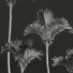 Palmy Cyrtostachys Renda Small - Pandora-land