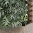 Hecke Vertikaler Garten 01 Schweizer Käsepflanze - SpinelCGI