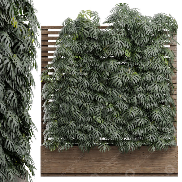 Hecke Vertikaler Garten 01 Schweizer Käsepflanze 3D-Modell