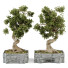 Blumentöpfe Bonsai Set Band 01 - SpinelCGI