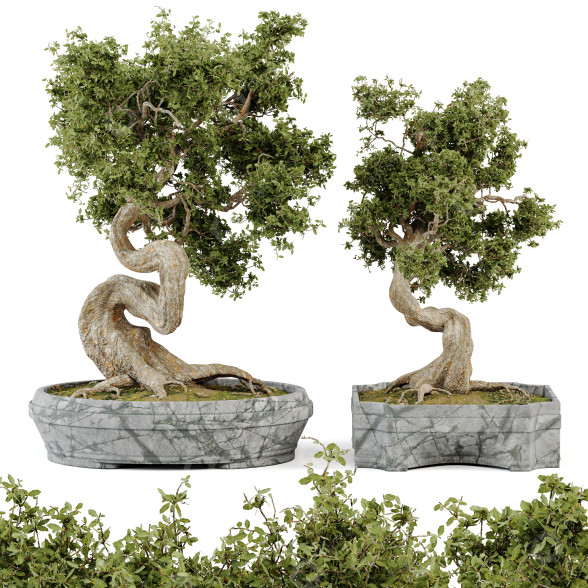 Blumentöpfe Bonsai Set Band 01 3D-Modell