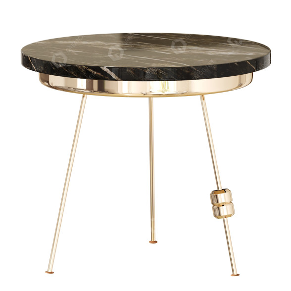 Table basse Tiange Richarm modèle 3D