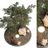 Tree and Bushes Outdoor Plant 69 - uniquevry