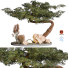 Tree and Bushes Outdoor Plant 69 - uniquevry