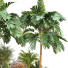 Palm Trees Garden Set Tropical Vol 49 - uniquevry