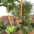 Palm Trees Garden Set Tropical Vol 49 - uniquevry