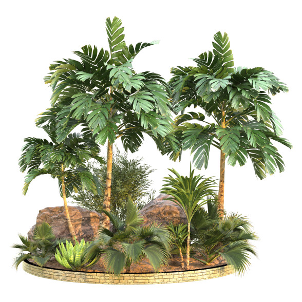 Palm Trees Garden Set Tropical Vol 49 3D model