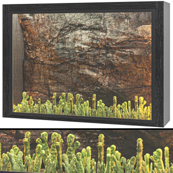 Dekoracje  Stone Wall Cactus 2 Model 3D