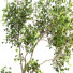 Дерево и лава Outdoor Plant Set 05 - mio