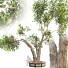 Дерево и лава Outdoor Plant Set 05 - mio
