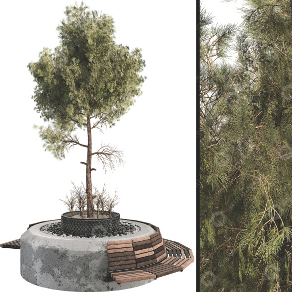 Drzewo i ławka Outdoor Plant Set 06 model 3D