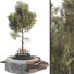 Drzewo i ławka Outdoor Plant Set 06 - mio