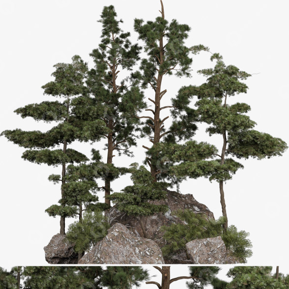 Drzewa Plant 70 model 3D