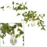 Wandlampe, Vase und Pflanzen Sklo Hold Vessels - mio