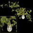 Wandlampe, Vase und Pflanzen Sklo Hold Vessels - mio