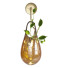 Wandlampe, Vase und Pflanzen Sklo Hold Vessels - mio
