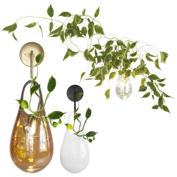 Wandlampe, Vase und Pflanzen Sklo Hold Vessels 3D-Modell