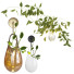 Wandlampe, Vase und Pflanzen Sklo Hold Vessels - mio