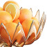 Fruit Champagne Orange Dish - 3dartistaskari1370