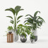 Flowerpots Indoor Plant Set 001 - nr.asgari