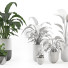 Flowerpots Indoor Plant Set 001 - nr.asgari