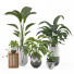 Flowerpots Indoor Plant Set 001 - nr.asgari