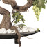 Flowerpot Grape Bonsai 01 - mio