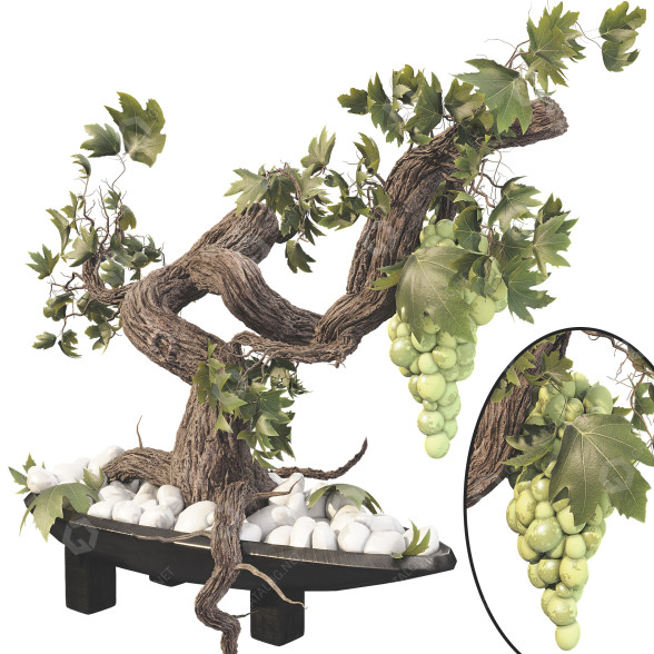 Flowerpot Grape Bonsai 01 3D model