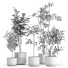 Macetas Conjunto de plantas de interior 006 - nr.asgari