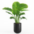 Macetas Conjunto de plantas de interior 007 - nr.asgari
