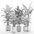 Macetas Conjunto de plantas de interior 007 - nr.asgari