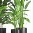 Macetas Conjunto de plantas de interior 007 - nr.asgari