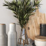 Декор Kitchen Accessories 04 - moyarahmadi1