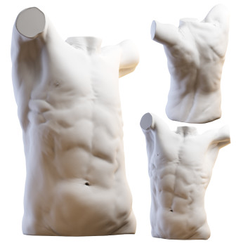 Sculpture Torso Modèle 3D