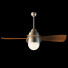 Ventilador de techo con lámpara 2-Blade Involution from Fanimation - antoconenco nicolai