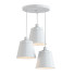 Pendant Lamp Lumeers Colored Golden Backing - SH.X