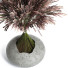 Bouquet Organic Miscanthus - Abdulloh3D